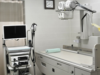 経鼻・胃レーザー内視鏡検査